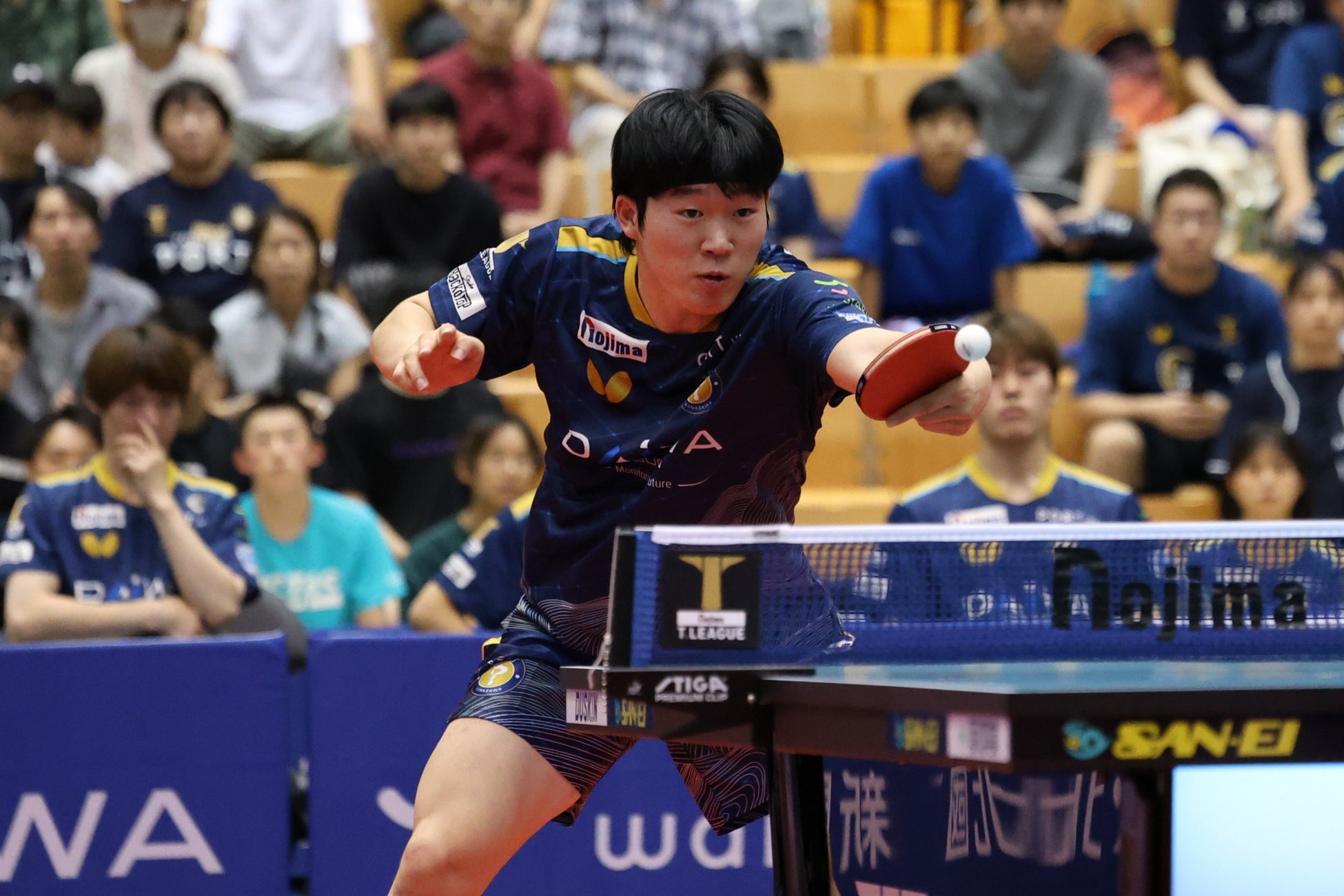 【卓球・金沢ポート】パクギュヒョン選手 契約更新のお知らせ