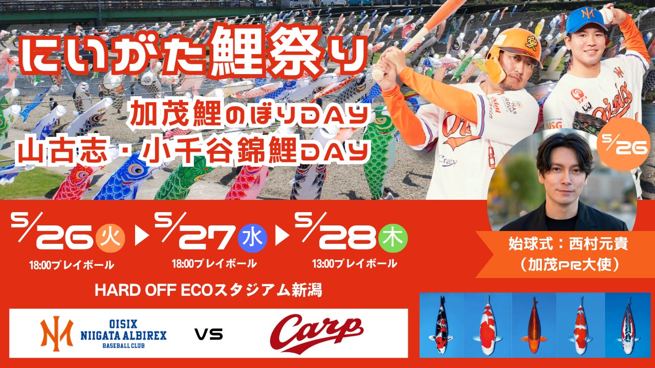 【オイシックス新潟】5/26-28のカープ戦で「にいがた鯉祭り」を開催！加茂鯉のぼりDAY＆山古志・小千谷錦鯉DAYを同時開催
