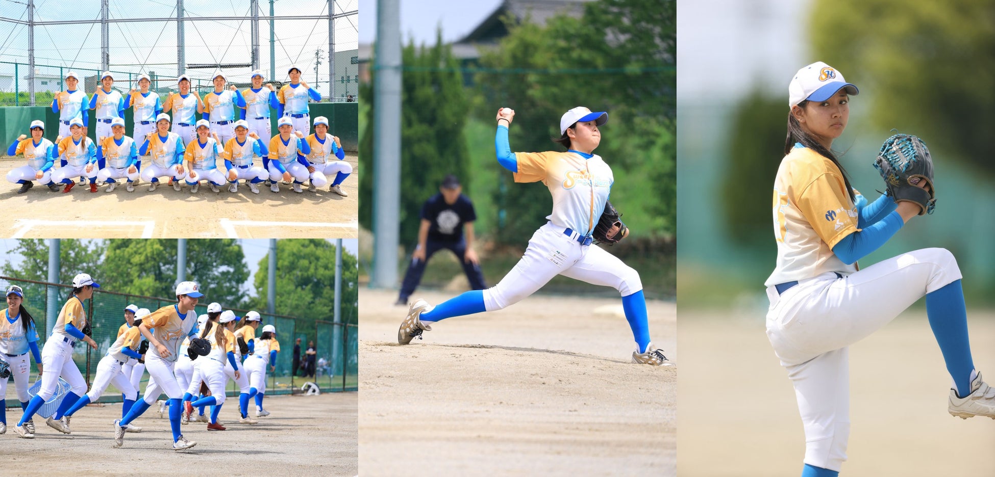 女子野球を通じた地域活性化と次世代育成へ。岐阜から新たな女子野球文化を発信。「岐阜水都ハリーズ」がSponsorsで新規掲載決定！