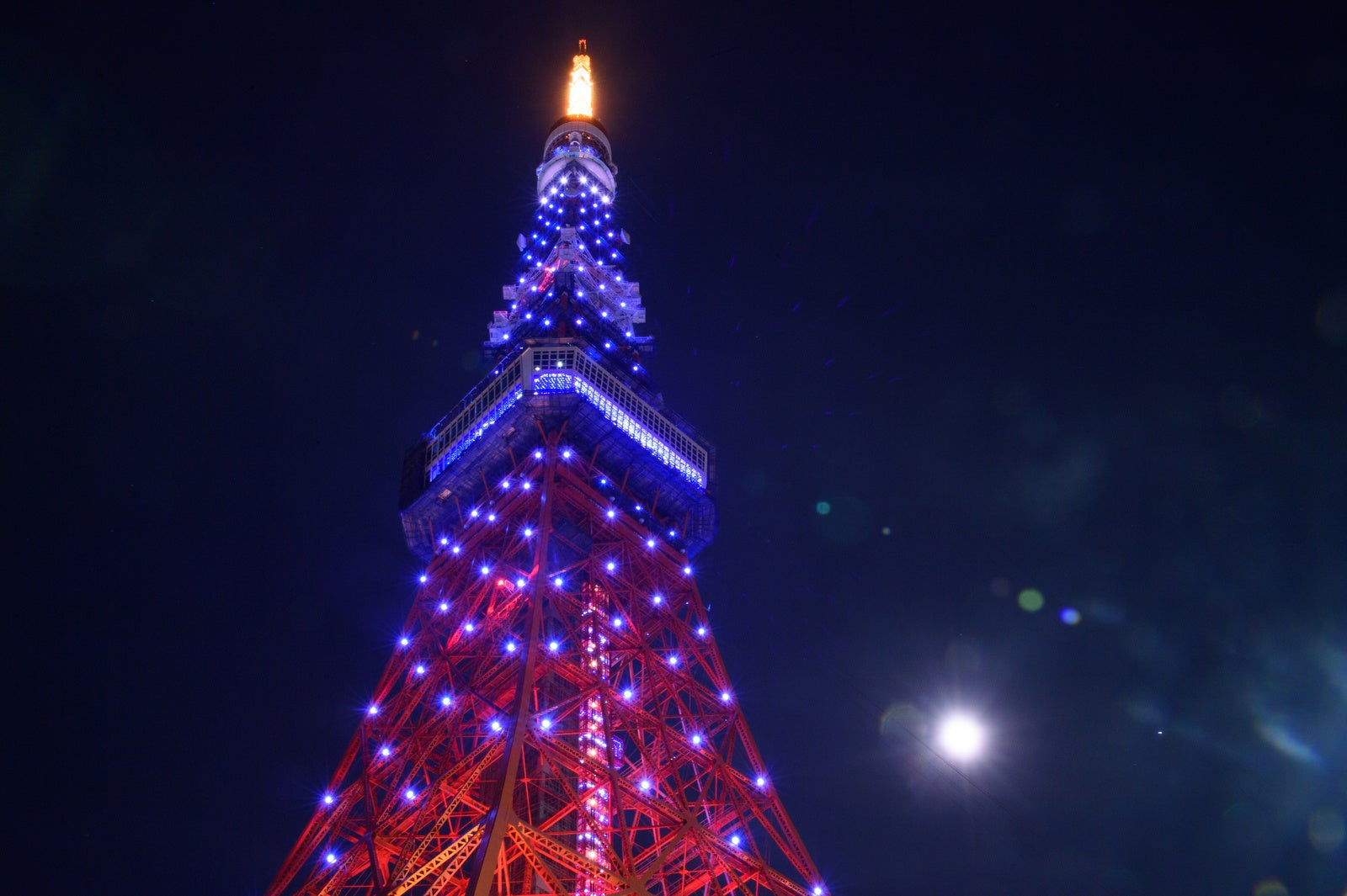 東京タワーがSAMURAI BLUEのチームカラーにライトアップ