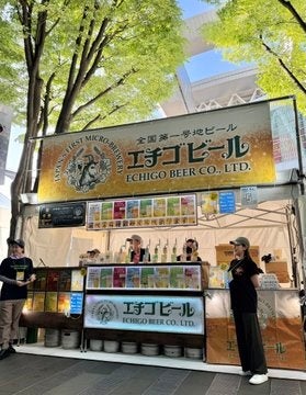【オイシックス新潟】6/20(土)・21(日)楽天戦にてエチゴビールが出店決定！樽生のおいしいビールをエコスタで堪能しよう