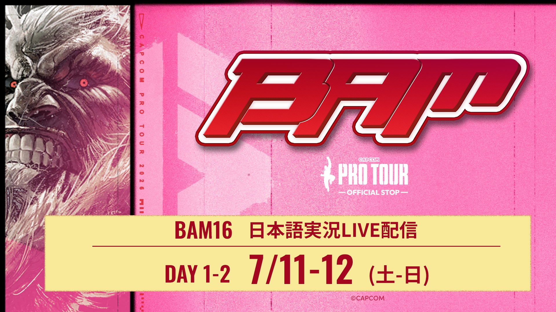 優勝賞金100万ドル「CAPCOM CUP 13」の予選大会「BAM 16」を日本語実況付きでLIVE配信！